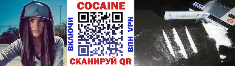 Cocaine FishScale  как найти наркотики  Славгород 
