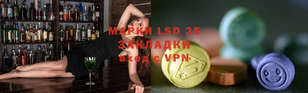 ГАЛЛЮЦИНОГЕННЫЕ ГРИБЫ Арсеньев