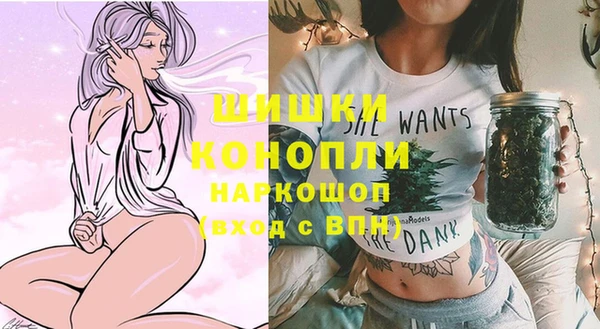 ГАЛЛЮЦИНОГЕННЫЕ ГРИБЫ Арсеньев