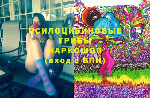 ГАЛЛЮЦИНОГЕННЫЕ ГРИБЫ Арсеньев