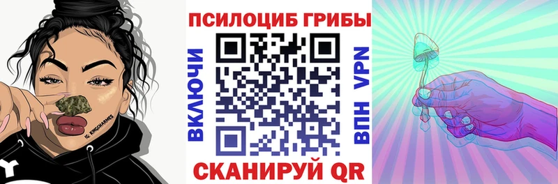MEGA вход  Славгород  Галлюциногенные грибы Psilocybine cubensis  наркотики 